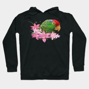 Tamaulipas parrot Hoodie